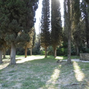 Кипарисовая роща по дороге в монастырь Эсфигмен. Афон